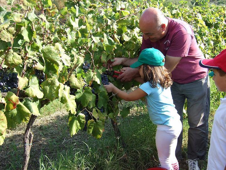 Agriturismo Parra Santa Lucia del Mela エクステリア 写真